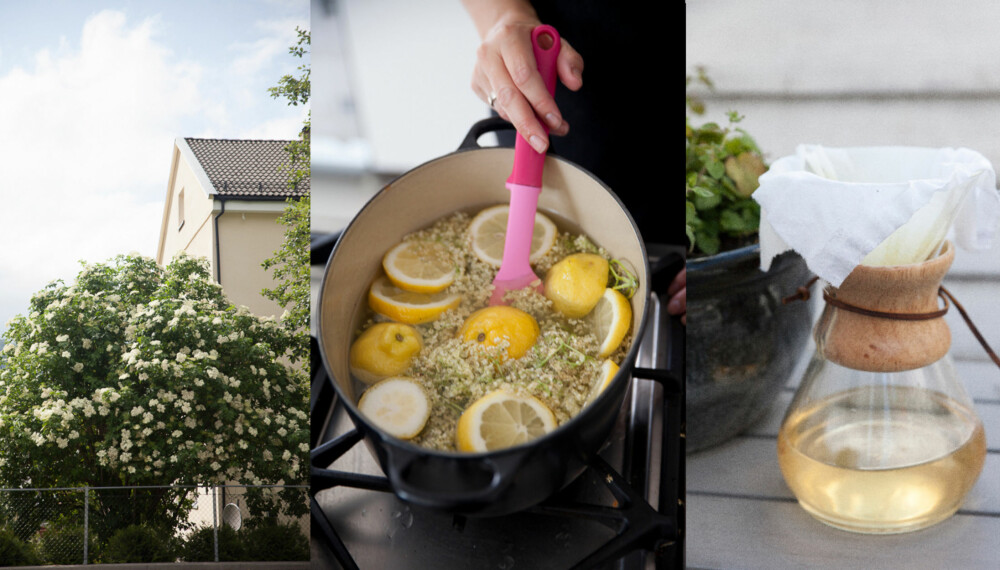 LYS SAFT: Saften av hylleblomst er lys, mens saften av selve bærene blir mørk rød. En deilig forfriskning i sommervarmen!