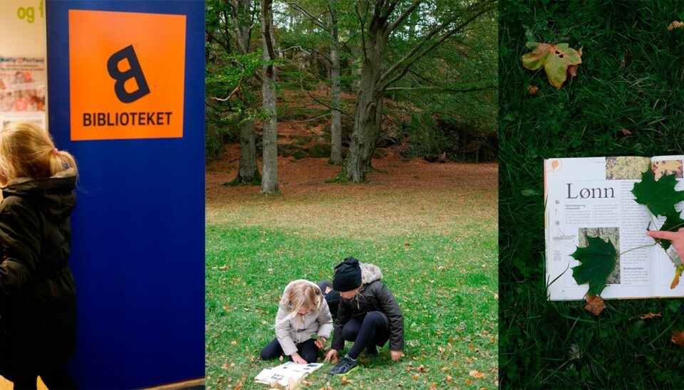 UT PÅ TUR: Først en tur til biblioteket, så en tur ut. Hvor mange trær kjenner dere igjen?