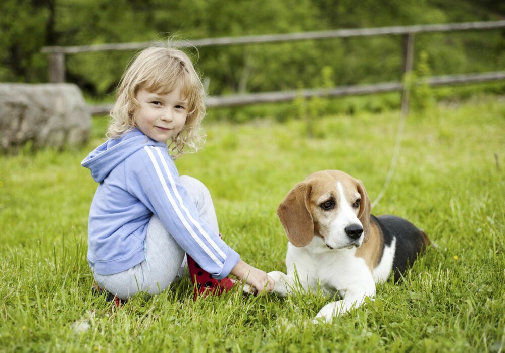 GODT FORHOLD: Barn og hund kan bli gode venner. GODT FORHOLD: Barn og hund kan bli gode venner.