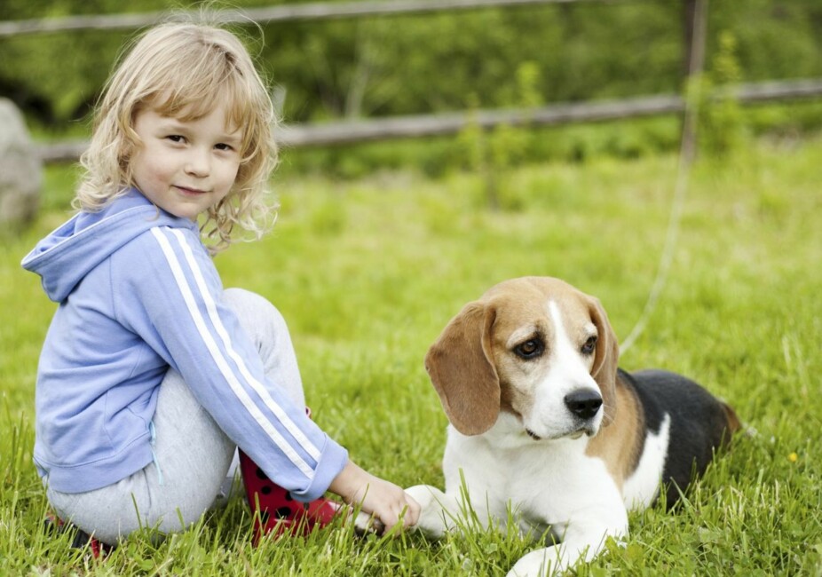 GODT FORHOLD: Barn og hund kan bli gode venner. Men det krever forberedelser og tilrettelegging.