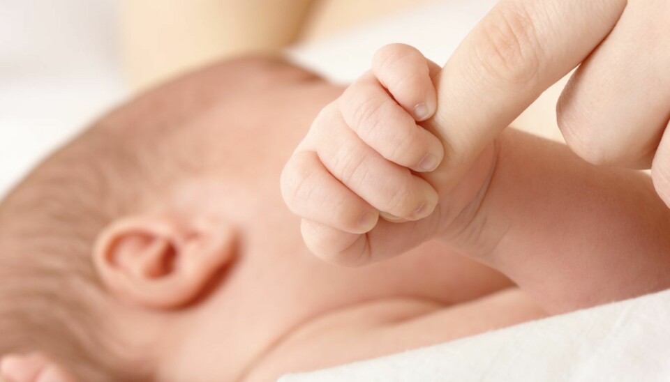 FRYST NED EGG: «Jeg har ingen kjæreste nå, og jeg vil heller ikke skynde meg med å få barn», sier norske «Maria».