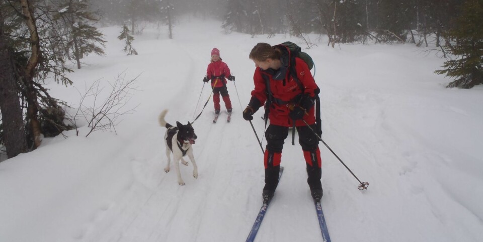 SKITUR: 'Vi våkent opp til tett snøvær, og var i grunnen godt fornøyd med en planlagt hviledag. Dina gravde snøhule, vi lette mer etter den savnede staven og vi gikk en tur med Polly, og plutselig var det kveld. Utrolig hvor fort tiden går når man ikke gjør noen ting', skrier Elisabeth Lau Henriksen på bloggen sin.