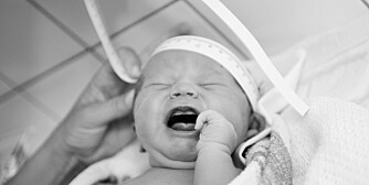 MÅLE OG VEIE: Pappa er med på måling og veiing av Linus, mens legene gjør seg ferdig med Maren på operasjonssalen. MÅLE OG VEIE: Pappa er med på måling og veiing av Linus, mens legene gjør seg ferdig med Maren på operasjonssalen.