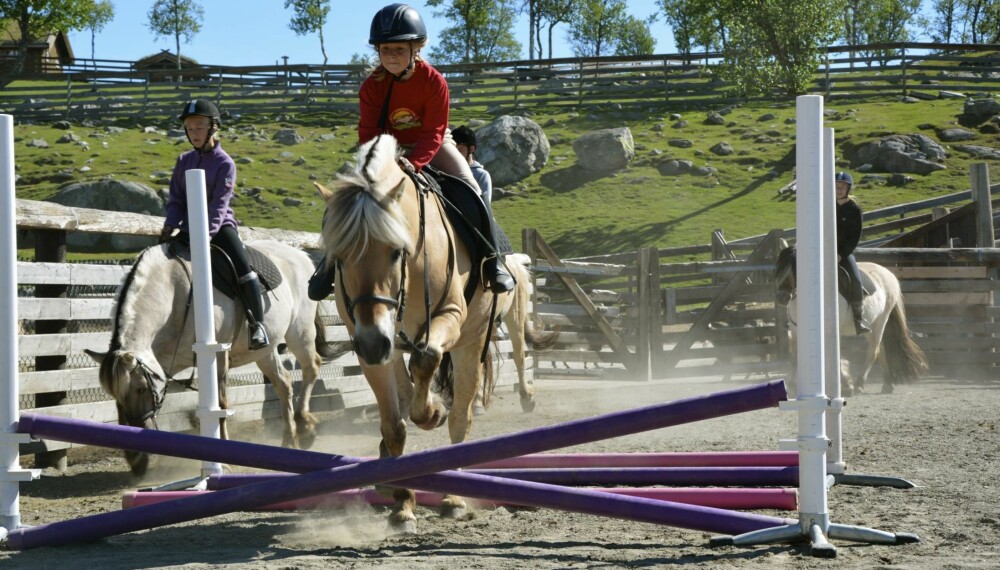 EN DRØM BLIR VIRKELIGHET: Mange barn drømmer om å dra på rideleir. Da får de tilbringe en uke med hest.