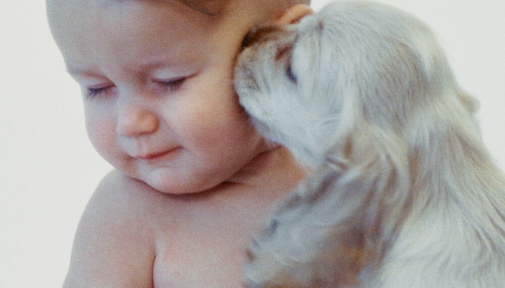 Hund slikker baby i ansiktet.