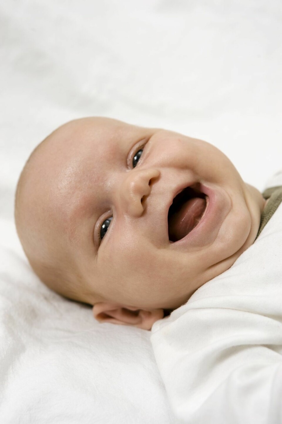 STELLEBORDET: Bæsjehumroen begynner på stellebordet.