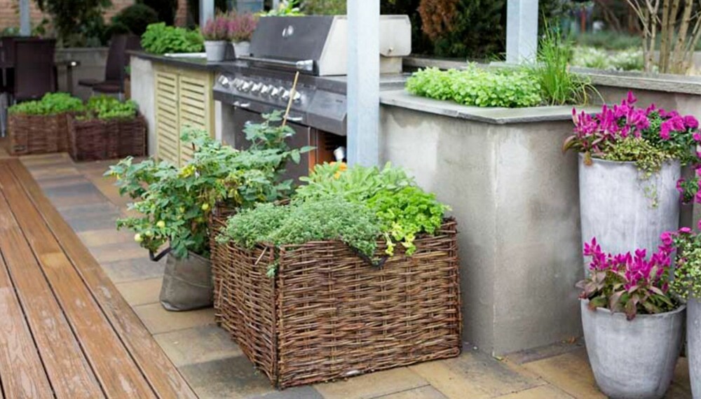 HELSEBRINGENDE: Å ha salater og krydderplanter lett tilgjengelig ved siden av grillen innbyr til en sunn livsstil på terrassen.