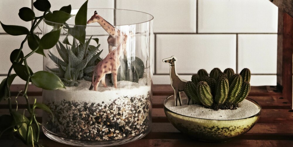 SAFARI I STUA: Hvorfor ikke lage din egen minijungel? Kaktuser er gode til å holde på vannet, og trenger derfor ikke vannes så ofte. Dyrefigurene er fra Dora, mens glassvasene er fra Ikea. Styling: Nicoline Olssen.