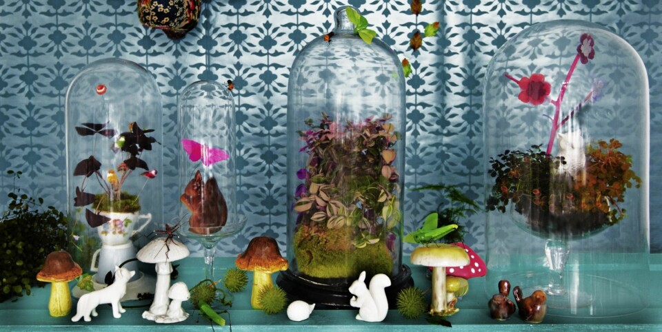 LEVENDE STILLEBEN: Figurene er vintage-funn fra It's about Romi. Soppene er fra Hay. Sommerfuglene fra Panduro Hobby, og insektene fra Okholm. Styling: Nicoline Olssen.