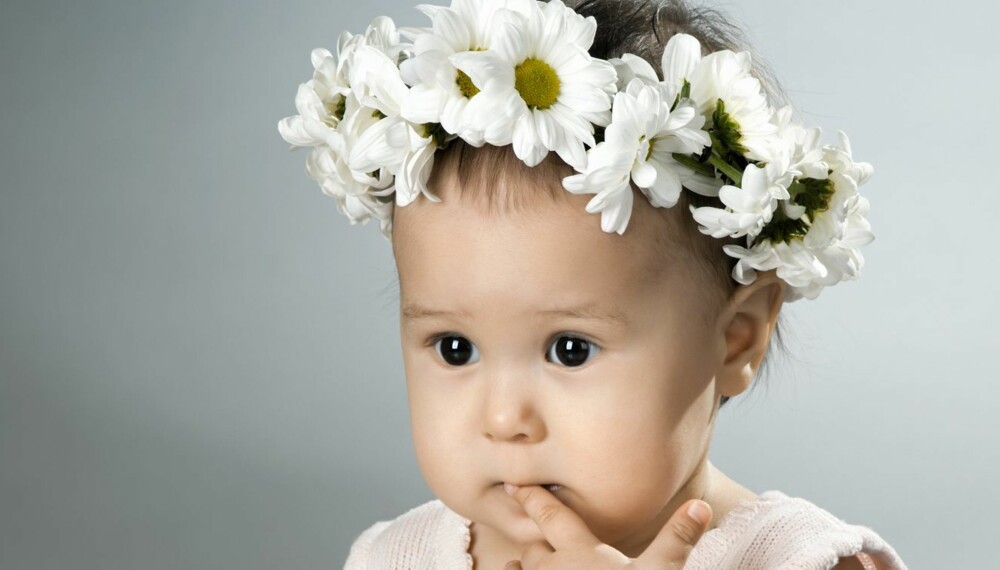 BLOMSTERNAVN: Kunne du tenke deg å kalle babyen din Daisy? Daisy er det engelske navnet på prestekrage, og blant annet datteren til kjendiskokk Jamie Oliver heter dette.