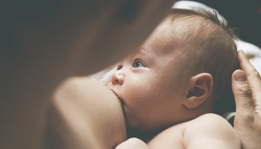 ALT OM AMMING OG NYFØDT: Hva er melkespreng? Hvor ofte skal babyen ammes? Hvor lenge skal babyen ammes? Her får du svar på alt du lurer på om amming av det nyfødte barnet.