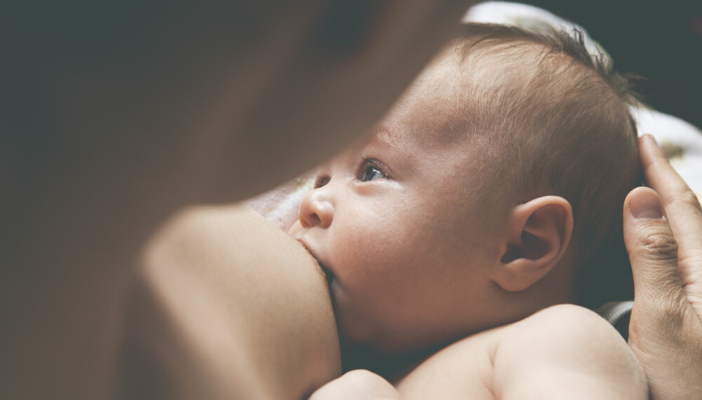ALT OM AMMING OG NYFØDT: Hva er melkespreng? Hvor ofte skal babyen ammes? Hvor lenge skal babyen ammes? Her får du svar på alt du lurer på om amming av det nyfødte barnet. ALT OM AMMING OG NYFØDT: Hva er melkespreng? Hvor ofte skal babyen ammes? Hvor lenge skal babyen ammes? Her får du svar på alt du lurer på om amming av det nyfødte barnet.