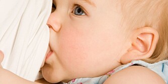SÅ LENGE BØR DU AMME: Kun to prosent av norske mødre fullammer til babyen er 6 måneder. Mange starter å gi spedbarn mat så snart spedbarnet har passert 4 måneder.