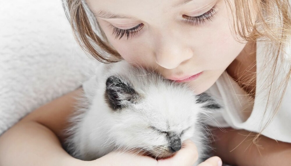 BARN MED DYREALLERGI: Flest barn er allergisk mot katt. Allergenene til en katt er mye mer klebrige og setter seg godt fast både på klærne og kroppen til kattens eier enn hundehår.