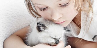 BARN MED DYREALLERGI: Flest barn er allergisk mot katt. Allergenene til en katt er mye mer klebrige og setter seg godt fast både på klærne og kroppen til kattens eier enn hundehår.