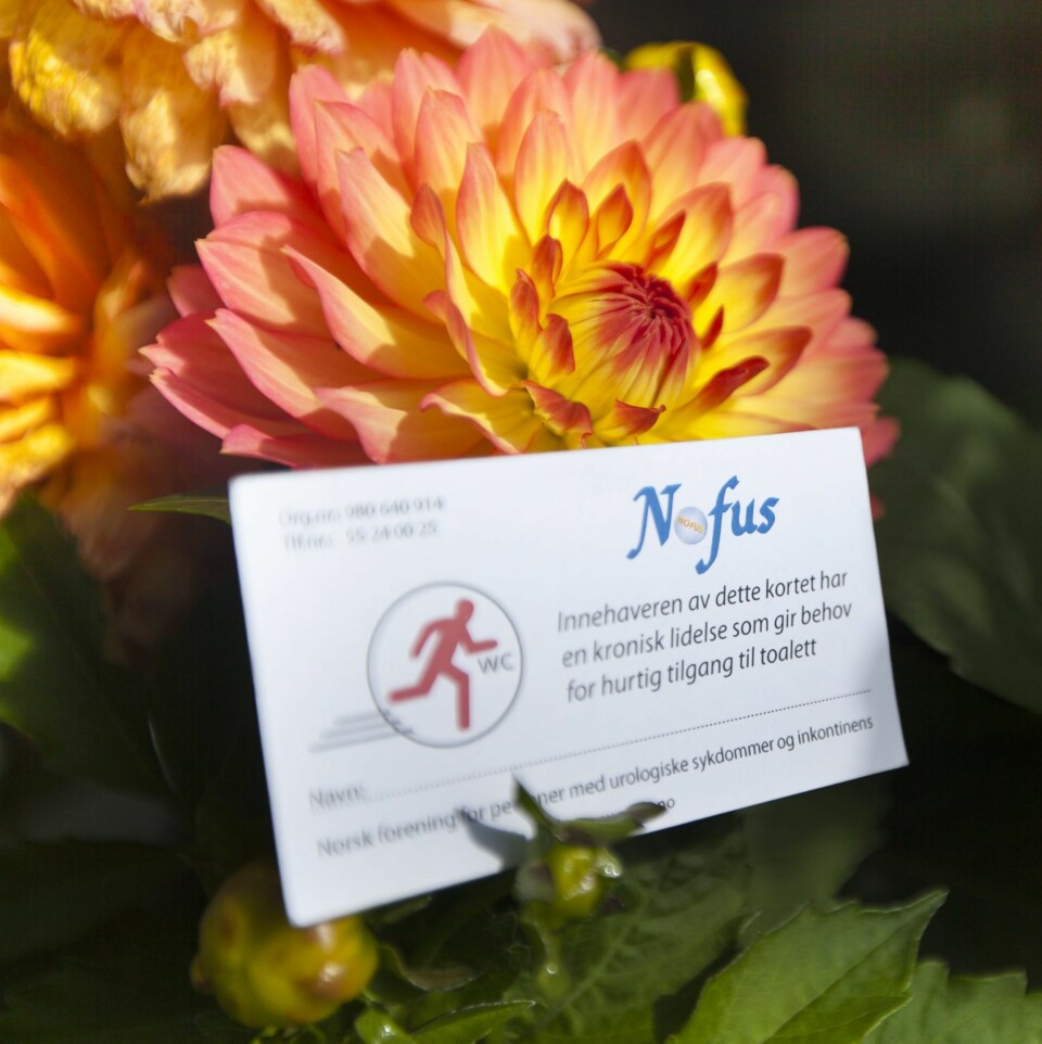 FORAN I DO-KØEN: Innehaveren av dette kortet har en kronisk lidelse som gir behov for hurtig tilgang til toalett, står det på dette kortet som slipper Vibeke frem uten lange forklaringer.
