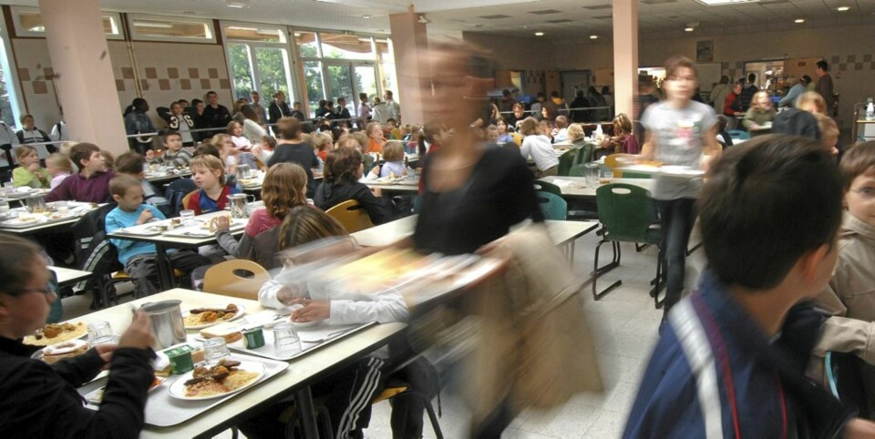 Skolelunsj til 700 i måneden
