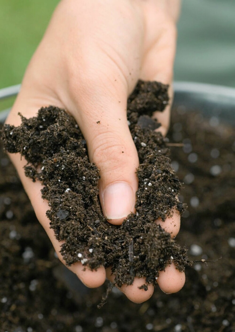 JORD: Ekspertene råder deg til å velg planter ut fra forholdene i hagen din. Man kan også blande inn ny jord hvis det er mye leire i jorden.