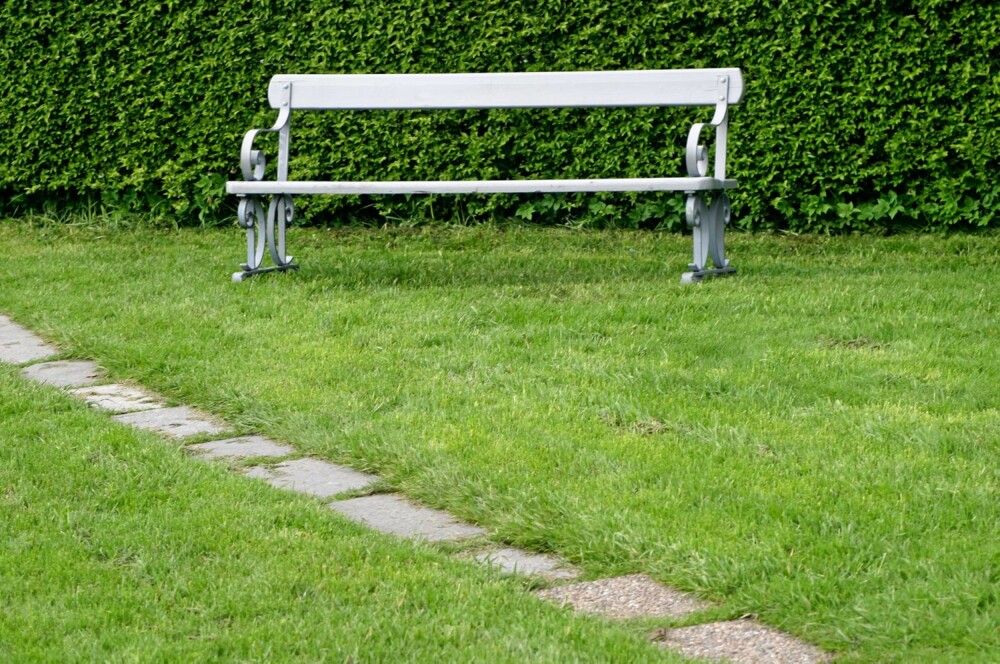 GRØNN PLEN: Behandler du plenen din riktig blir den frisk og grønn. GRØNN PLEN: Behandler du plenen din riktig blir den frisk og grønn.