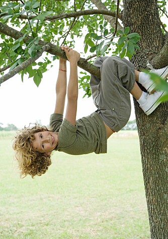 BRA LEK: Barn må lære å klatre i trær, ikke bare i klatrestativer.