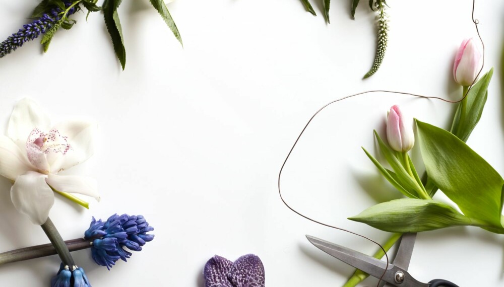 FINE BLOMSTER HVER FOR SEG: Øverst til venstre er en blå storveronica, i midten øverst ser du en hvit storveronica, til høyre to rosa tulipaner. Til venstre for saksen ser du en wandaorkidé, i nedre hjørne til venstre ligger hyacinter, og over hyacintene ser du en hvit orkidé. I denne saken får du noen gode tips til hvordan du kan sette snittblomster sammen til iøynefallende dekorasjoner. Idé og styling: Juni Hjartholm/Steen & Aiesh for Bonytt. FINE BLOMSTER HVER FOR SEG: Øverst til venstre er en blå storveronica, i midten øverst ser du en hvit storveronica, til høyre to rosa tulipaner. Til venstre for saksen ser du en wandaorkidé, i nedre hjørne til venstre ligger hyacinter, og over hyacintene ser du en hvit orkidé. I denne saken får du noen gode tips til hvordan du kan sette snittblomster sammen til iøynefallende dekorasjoner. Idé og styling: Juni Hjartholm/Steen & Aiesh for Bonytt.