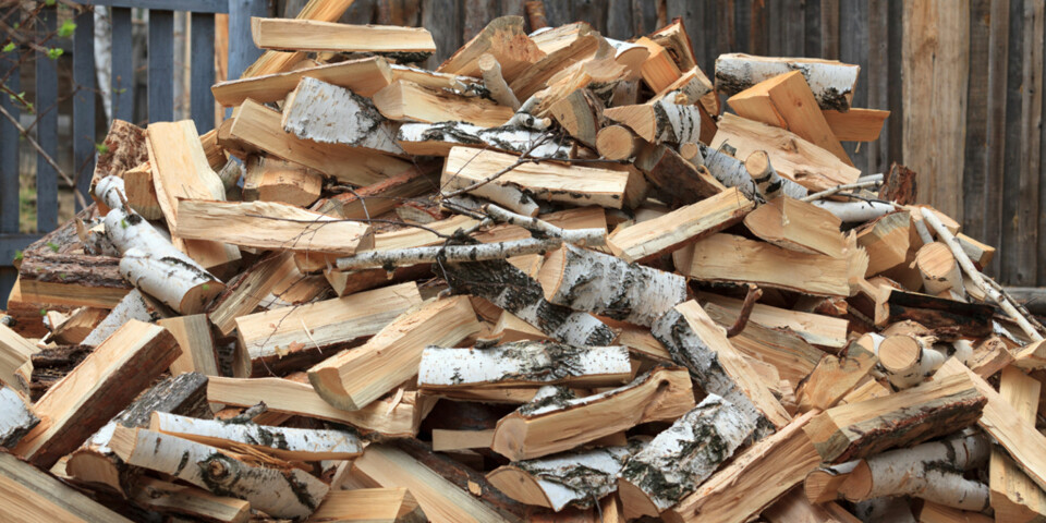 IKKE KAST! Greiner har ekstra god brennverdi, men kommer sjelden i vedsekkene på grunn av produksjonsmetodene som brukes av de profesjonelle aktørene. Men hvis du feller trær på egen tomt, bør du ta vare på greinene og kappe dem i passende lengder for å få mest mulig varme fra treet.