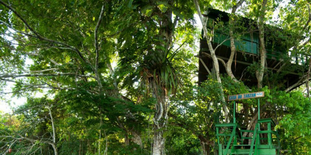 SOM I JUNGELBOKEN: Føl deg som Mowgli på dette hotellet i Amazonas-jungelen.
