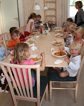 FERIEHUS I DANMARK: 15 barn og 12 voksne leide i fjor et stort sommerhus sammen i Marielyst på Lolland. Foto: Foto: Privat Foto: Foto: Privat