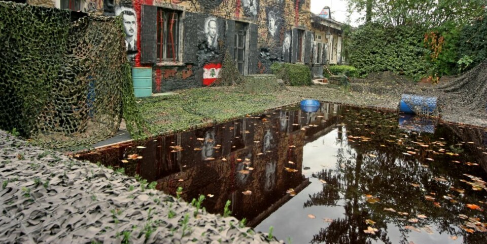 BARBERBLADER i svømmebassenget.