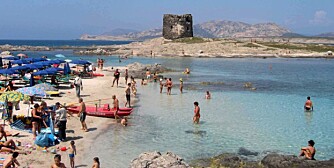 POPULÆR: Stranden La Pelosa går for å være en av de vakreste strendene på Sardinia.