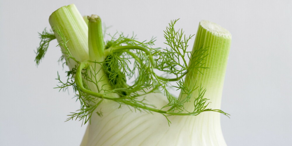 FENNIKEL: denne aromatiske grønnsaken kan spises rå. Smaken minner om anis og lakris. Fennikel er mager, fiberrik og inneholder en rekke fytokjemikalier.