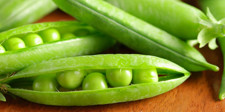 SUKKERERTER: En knasende frisk grønnsak med vitaminer og protein.