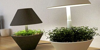 Lampen Lightpot med led-lys sørger for at planten lever i allslags lys.
