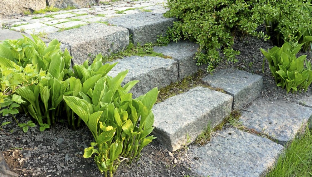 UTETRAPP I STEIN: En steintrapp er lett å lage og glir fint inn i hagen