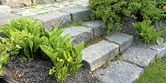 TRAPP AV STEINER: En steintrapp er lett å lage og glir fint inn i hagen