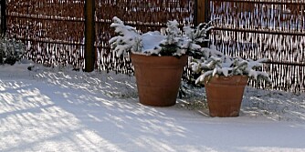 SNØSMELTING: Utolmodige hagentusiaster som vil ha snøen fort bort fra hagen, kan strø på jord eller sand. Det fremskynder smeltingen.
