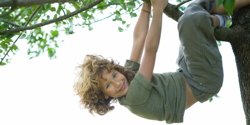 FRI UTFOLDELSE: Får du hjertet i halsen når barna dine klatrer i trær?