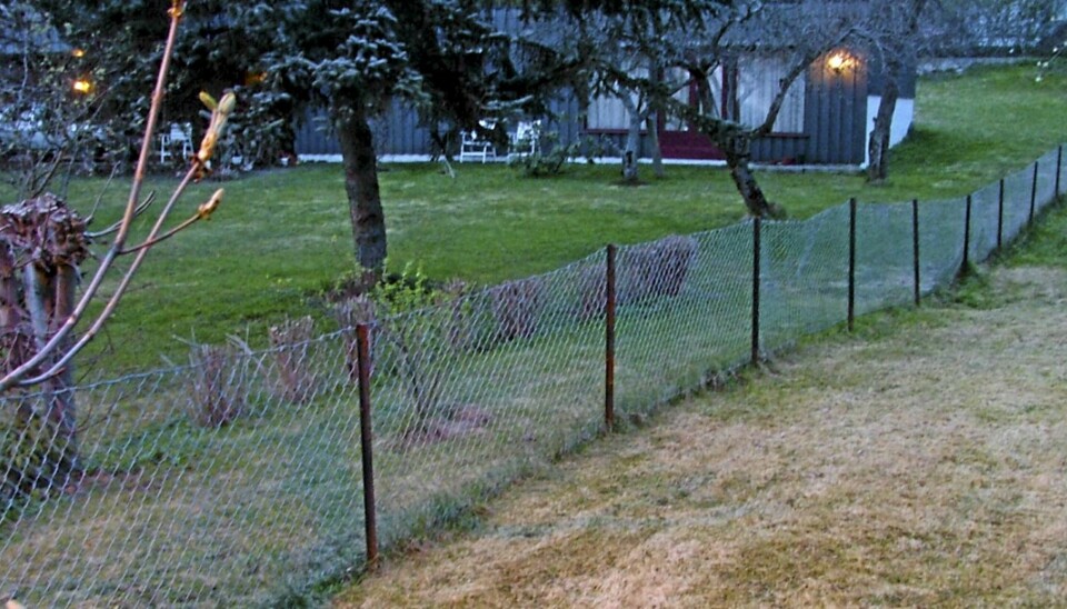 LIVET PÅ DEN GRØNNE GREN: Skal du få en grønn og fin plen bør du begynne å gjødsle nå, ifølge hageekspertene. Det er spesielt kalium som gir gresset den dype sterke fargen.