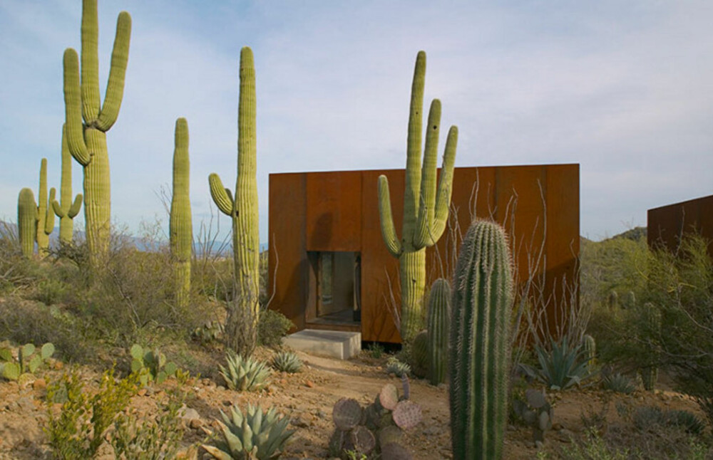 SOM PÅ FILM: De store skulpturelle kaktusene gjør at huset føles som det er med i settet til en ekte Western film.