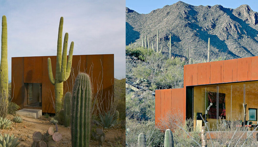 KAKTUS: Dramatiske kaktuser kjennetegner ørkennaturen rundt huset.