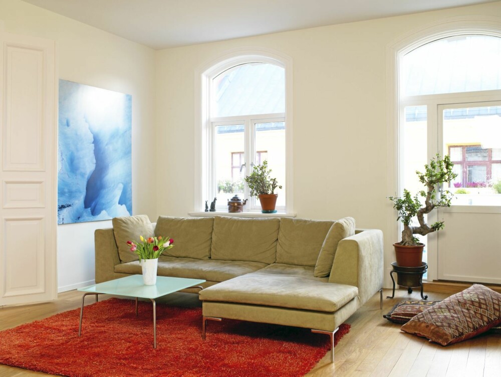 VARM SONE. Sofa fra B & B, teppe fra Ikea. Gulvputene er kjøpt i Tunis. Bildet på veggen er fra OL-utstillingen "Vinterland" på Lillehammer.