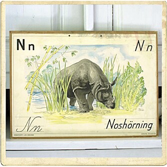 NOSTALGISK PLANSJE: Nesehorn på gammel skoleplansje, 295 sek. NOSTALGISK PLANSJE: Nesehorn på gammel skoleplansje, 295 sek.