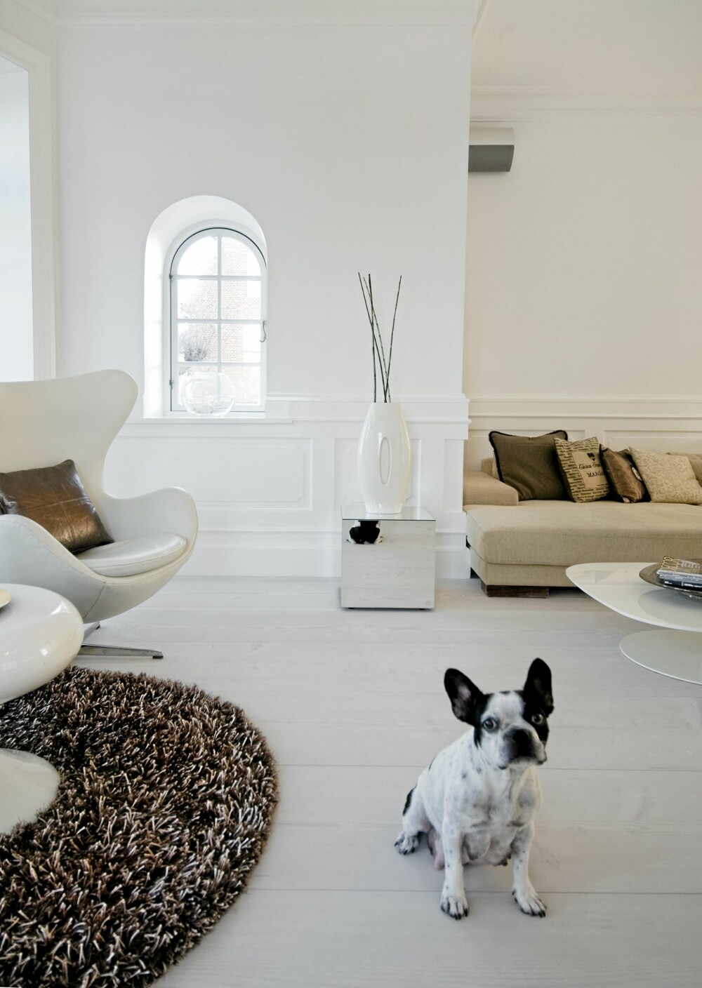 HELDIG HUND: Chanel har godt med boltringsplass i villaen ved Øresund.