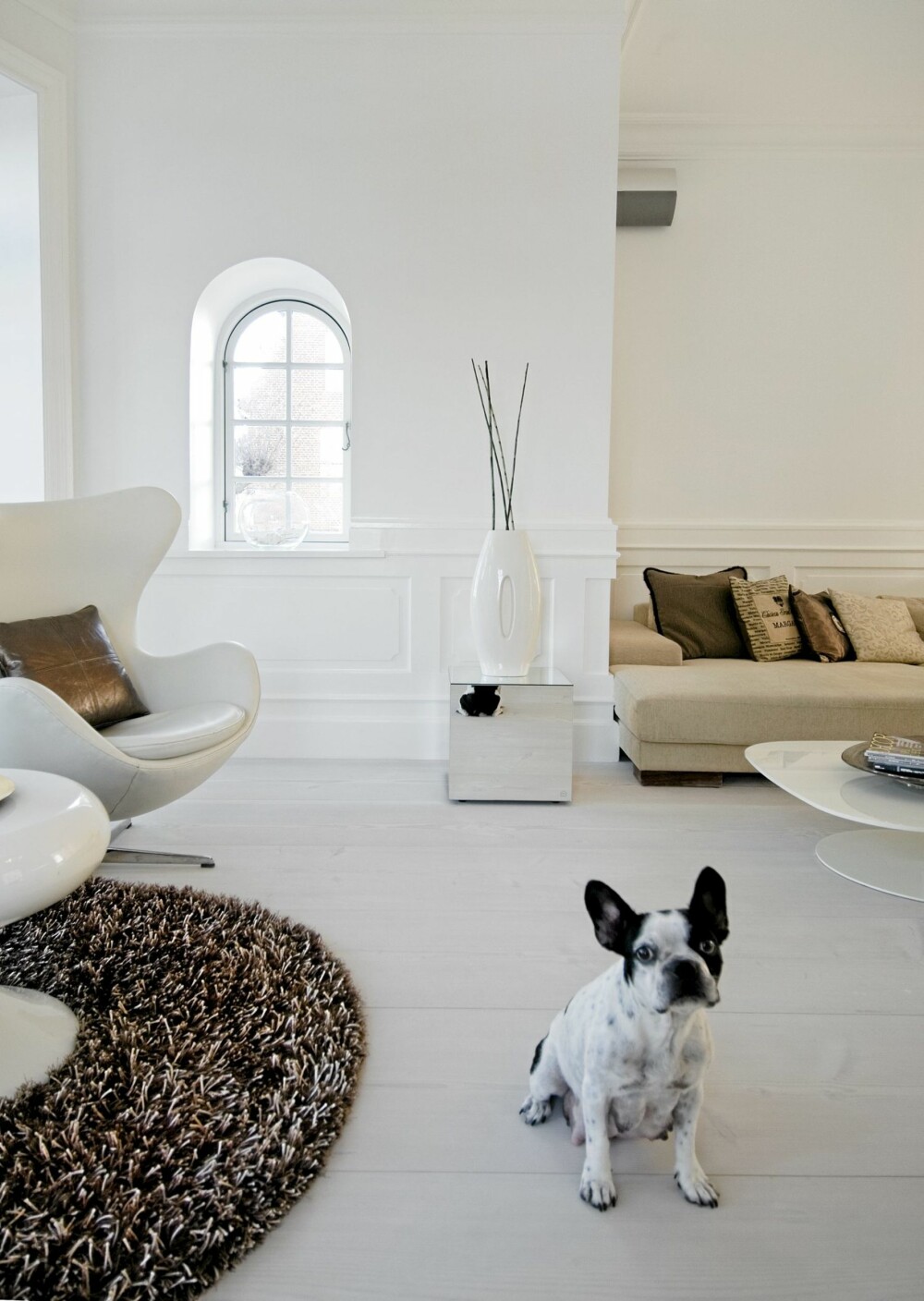 HELDIG HUND: Chanel har godt med boltringsplass i villaen ved Øresund. HELDIG HUND: Chanel har godt med boltringsplass i villaen ved Øresund.
