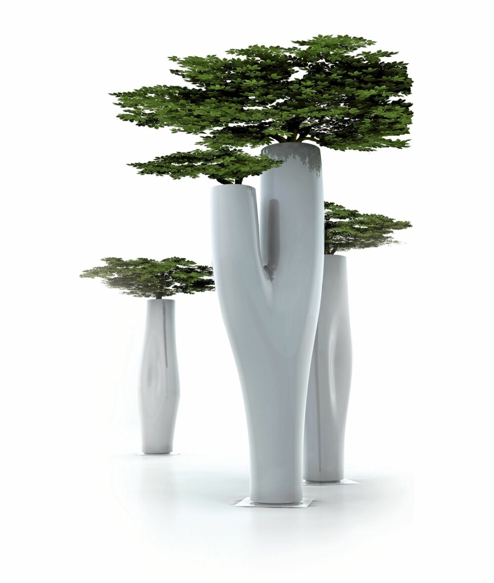LEVENDE SKULPTUR: Planter du et frodig bonsaitre eller
en dvergfuru i vasen MissedTree fra Serralunga, får
du en levende skulptur. Vasen finnes i tre størrelser,
og den høyeste måler to meter, kr 2250-11 375, Euklides.