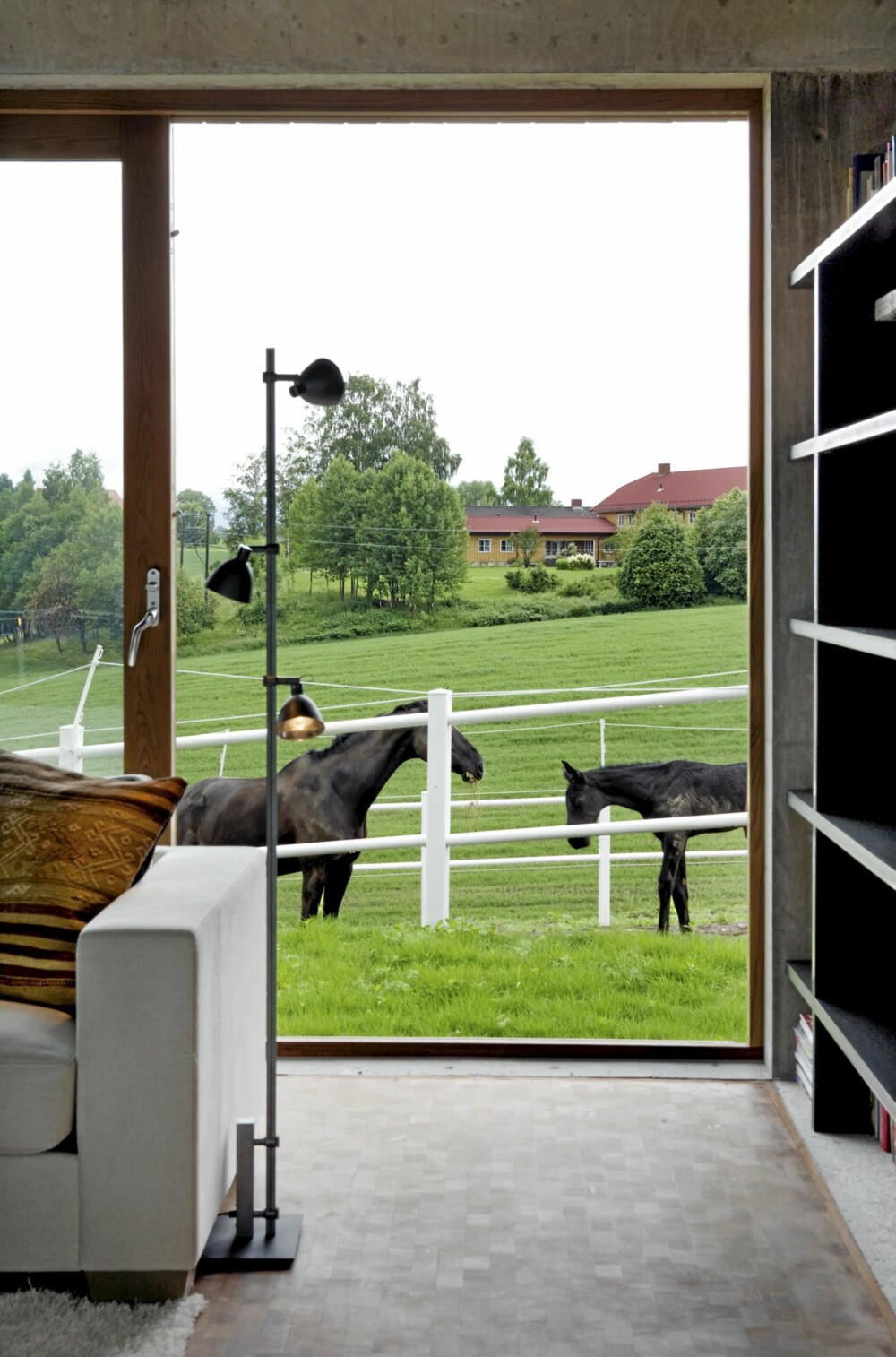 HESTER I STUA: Glassflatene strekker seg fra gulv til tak og bringer nesten hestene inn i stua.