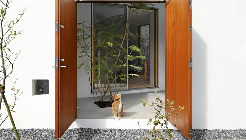KATTA KLORE: Dette huset er designet også for at katten skal føle seg hjemme.