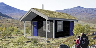 Kvisten: Størrelse 18 kvm. Kvisten: Størrelse 18 kvm.