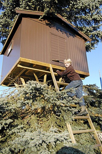 Opp i høyden: Fredrik (9) har stige opp til hytta si.