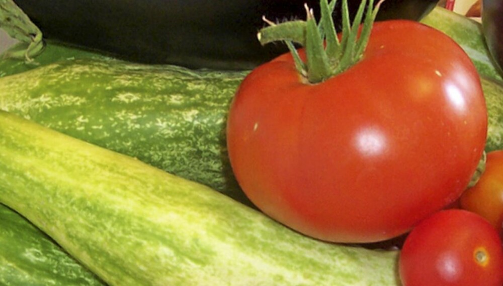 PLANT SELV: Plant i vei hvis du vil forsyne deg med "egenprodusert" omat, agurk og squash